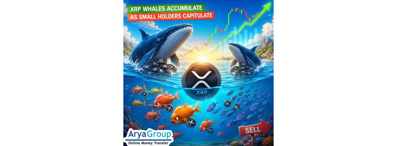XRP Whales Buy as Retail Sells
